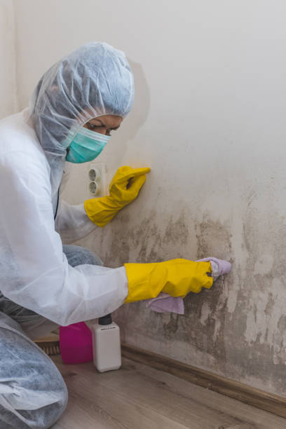 Best Dehumidification Services  in Gberts, IL