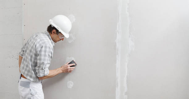 Best Water Damage & Mold Remediation  in Gberts, IL