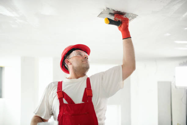 Best Mold Odor Removal Services  in Gberts, IL