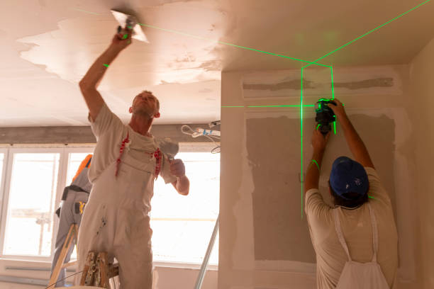 Mold Remediation for Rental Properties in Gilberts, IL