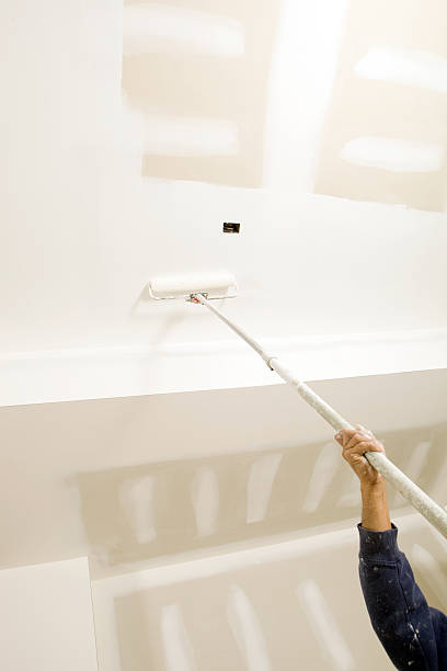 Best Mold Remediation for Rental Properties  in Gberts, IL