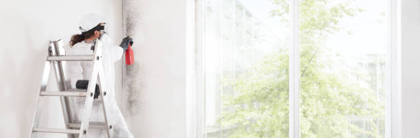 Best HVAC Mold Inspection and Cleaning  in Gberts, IL