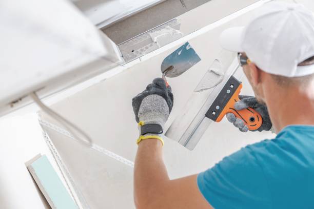 Best Real Estate Mold Inspection  in Gberts, IL